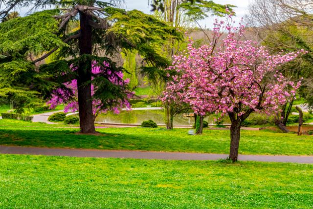 גני בורגזה - כל האטרקציות והמקומות החשובים בפארק