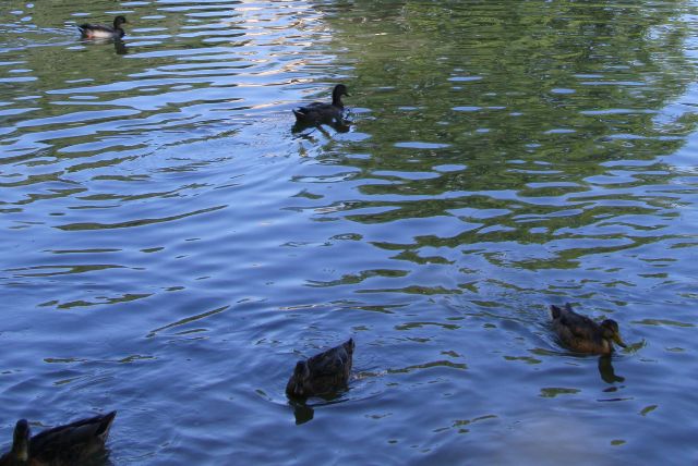 גני בורגזה לילדים - גני שעשועים ומשחקים, אטרקציות ופעילויות מומלצות