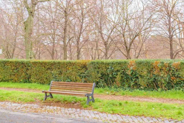 איך גני בורגזה הפך לאחד הפארקים החשובים בעולם?