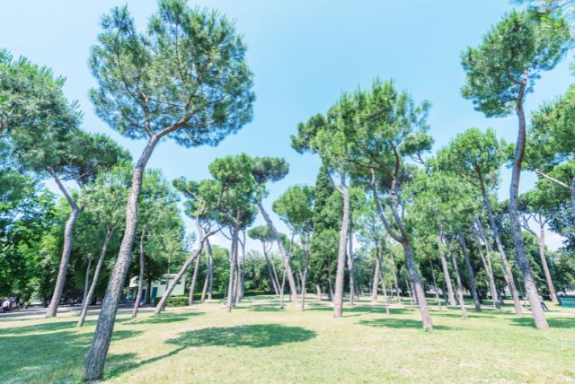 וילה בורגזה