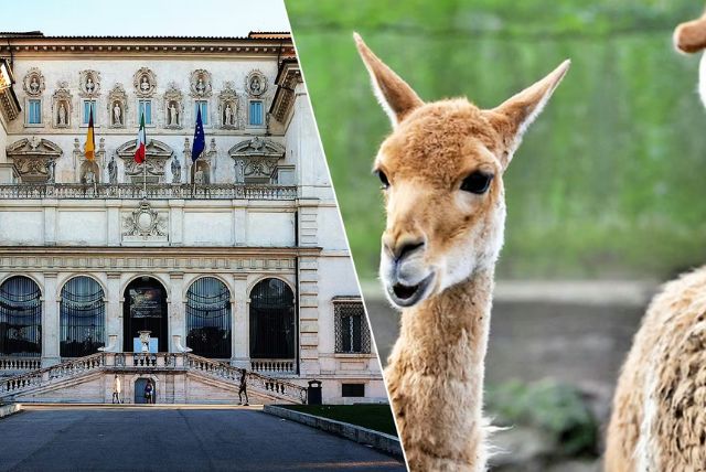 גן החיות של רומא "ביו פארק" בגני בורגזה credit to headout.com