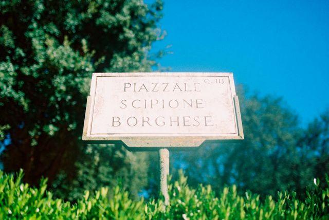 שיפיונה בורגזה - מה זה ומה חשוב לדעת?