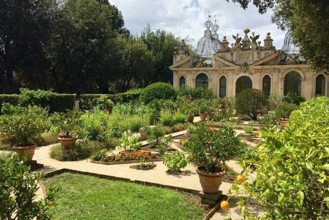 תופעות אקולוגיות מעניינות בתוך הפארק - חיות, אגמים וצמחים credit to tiqets.com