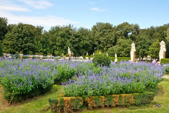 תופעות אקולוגיות מעניינות בתוך הפארק - חיות, אגמים וצמחים credit to tiqets.com