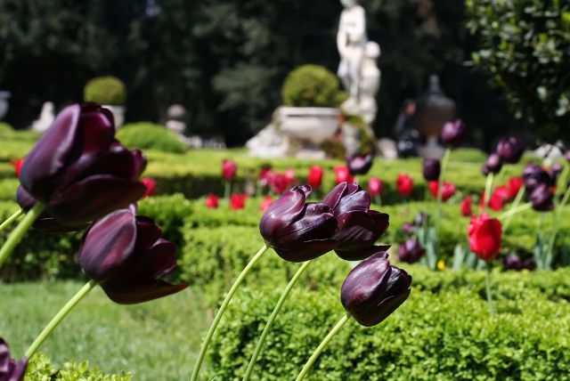 ליד גני בורגזה מה יש בסביבה? אטרקציות במרחק הליכה מגני בורגזה