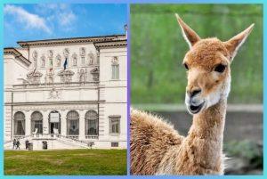 כרטיס משולב מוזיאון וילה בורגזה + ביופארקו גן החיות של פארק גני בורגזה credit to tiqets.com